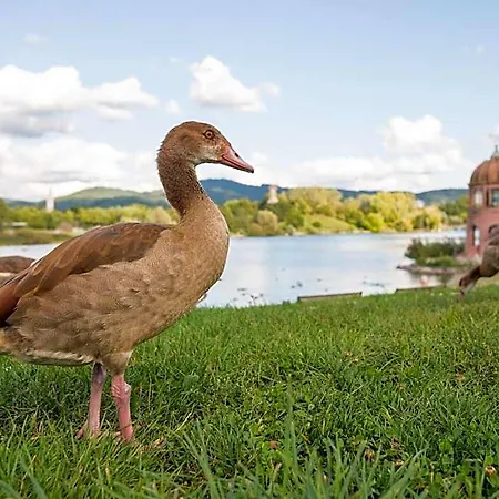 Viavelo House Am Seepark Hotel