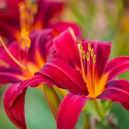 Viavelo House Am Seepark Hotel Freiburg im Breisgau