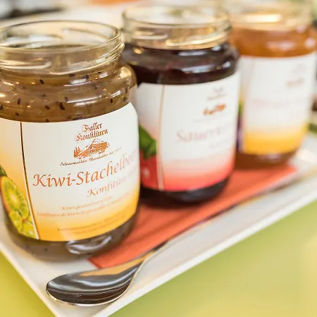 Viavelo House Am Seepark 3* Freiburg im Breisgau