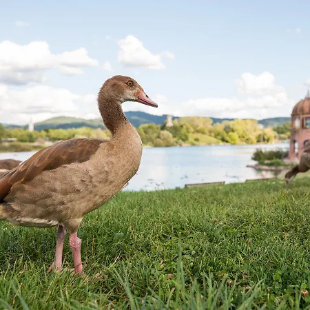 Viavelo House Am Seepark Hotel Freiburg im Breisgau