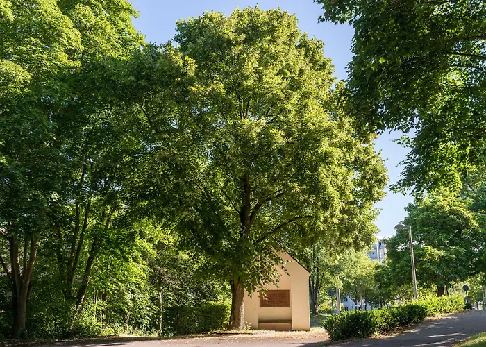 Hotel Viavelo House Am Seepark Freiburg im Breisgau
