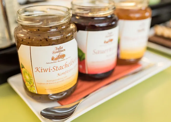 Viavelo House Am Seepark 3* Freiburg im Breisgau